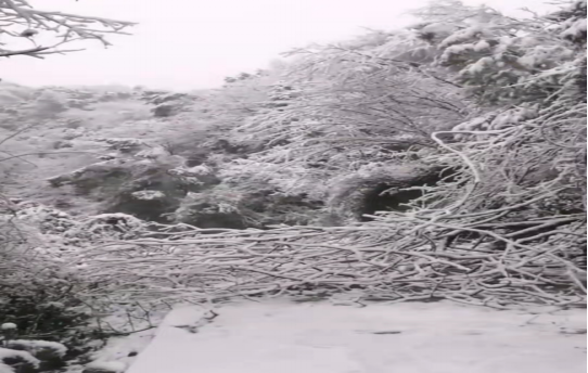 戰(zhàn)暴雪、保供電！湖南發(fā)展鳥(niǎo)兒巢公司應(yīng)對(duì)極端天氣緊急搶修失電故障